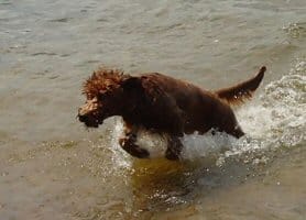 Kriston-minocqua 2005 015